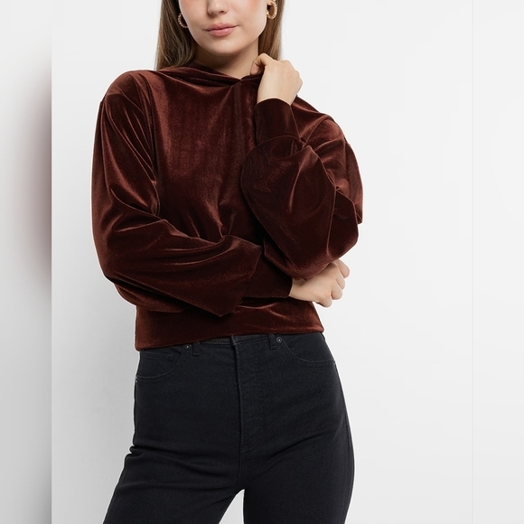 Express Velvet Banded Bottom Hoodie in Bitter Chocolate XL - Picture 1 of 11